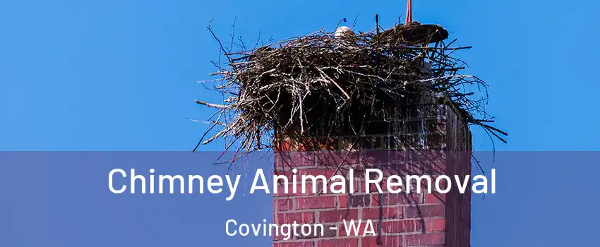 Chimney Animal Removal Covington - WA