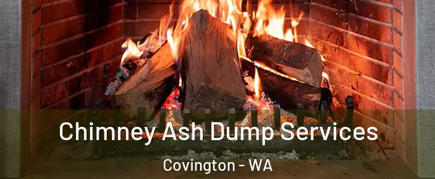 Chimney Ash Dump Services Covington - WA