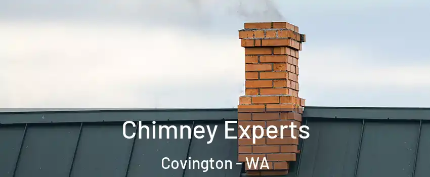  Chimney Experts Covington - WA