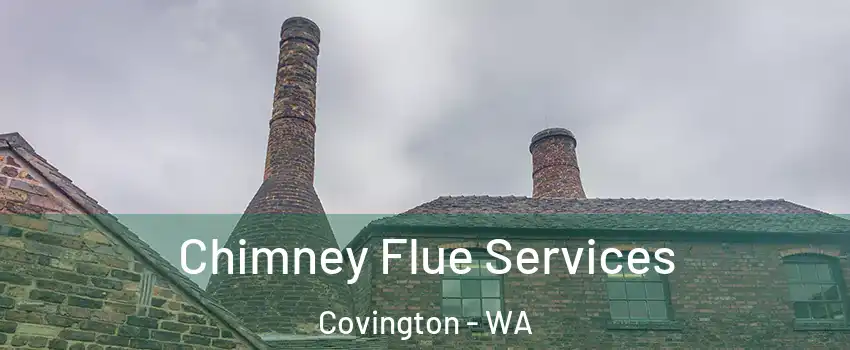  Chimney Flue Services Covington - WA