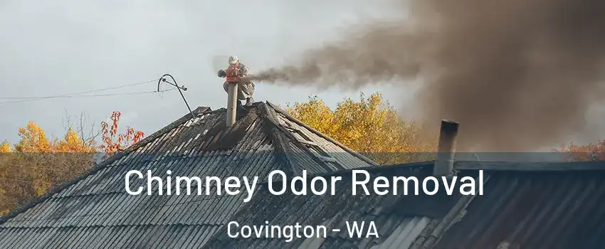  Chimney Odor Removal Covington - WA