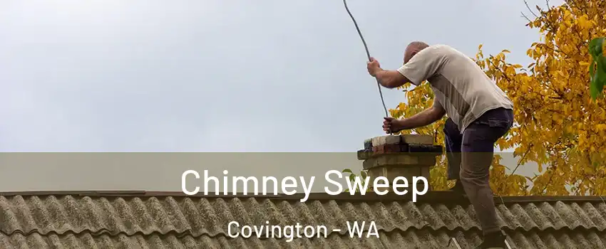 Chimney Sweep Covington - WA