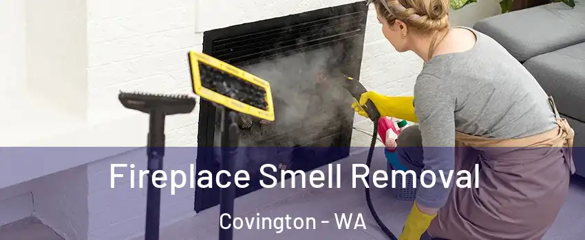 Fireplace Smell Removal Covington - WA