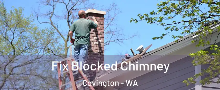  Fix Blocked Chimney Covington - WA