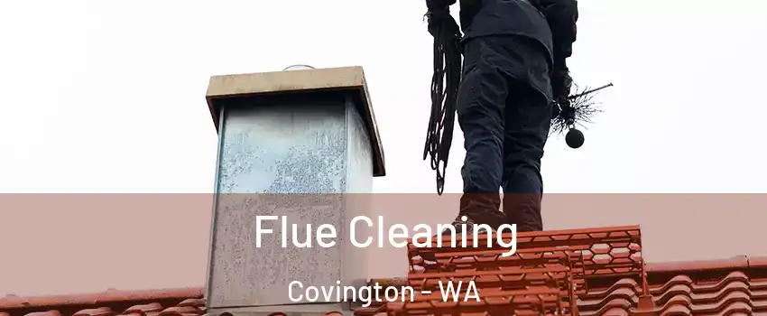  Flue Cleaning Covington - WA