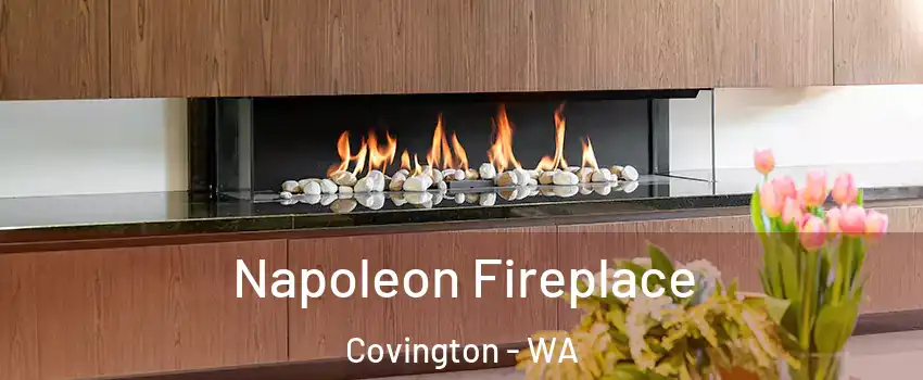 Napoleon Fireplace Covington - WA